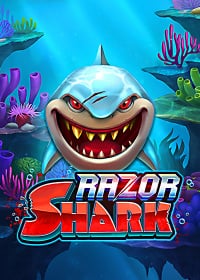 Razor Shark 