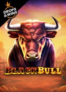 Black Bull 